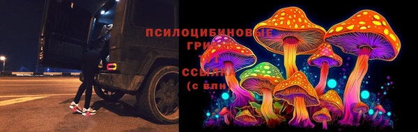 гидропоника Армянск