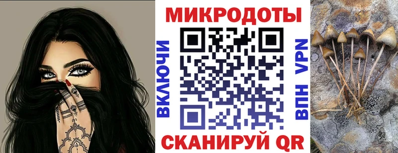 Галлюциногенные грибы Psilocybe Спас-Клепики