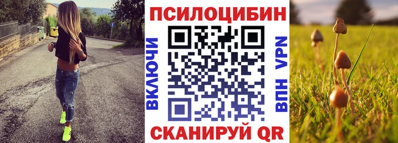 Галлюциногенные грибы MAGIC MUSHROOMS  Купить закладки  Спас-Клепики 